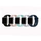 Apple watch band-silicone double buckle